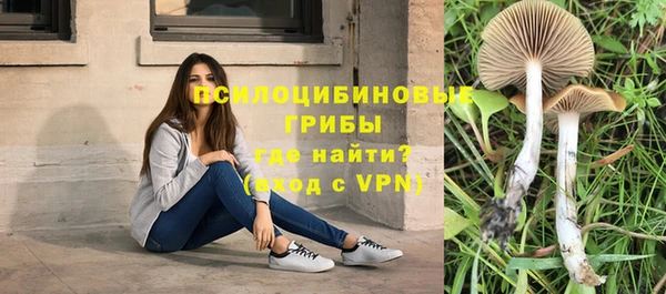 ECSTASY Баксан