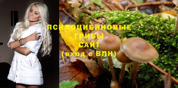 Альфа ПВП Балахна