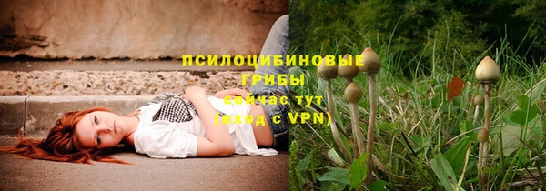 ECSTASY Баксан
