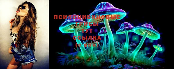 ECSTASY Баксан