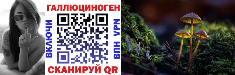 Псилоцибиновые грибы Cubensis как найти закладки Ликино-Дулёво